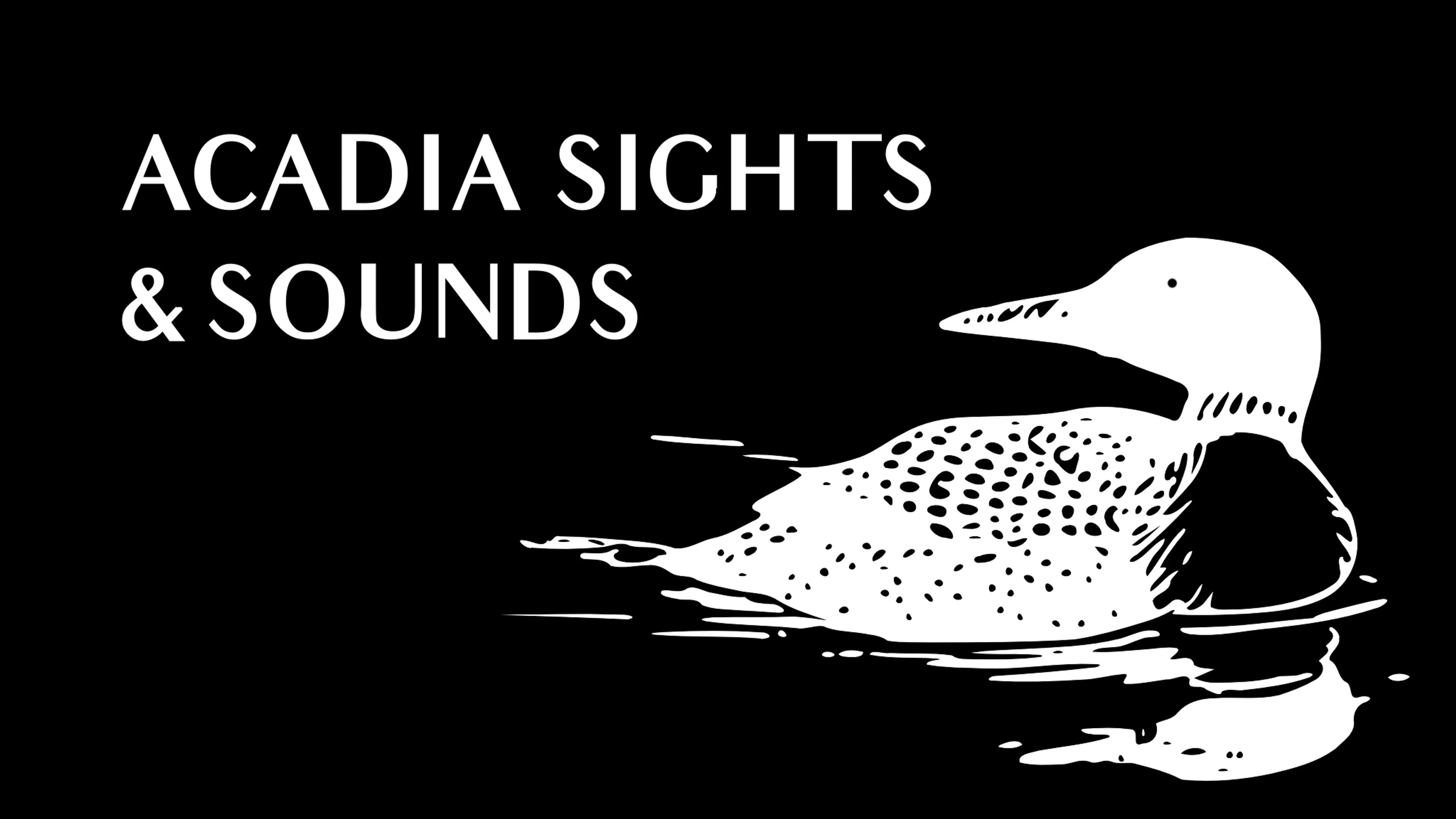 Acadia Sights & Sounds poster